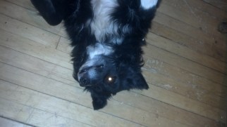 IMG_20131124_174240_215